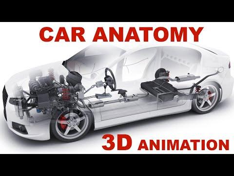 The Ultimate Guide to Understanding Car Anatomy and How Cars Work