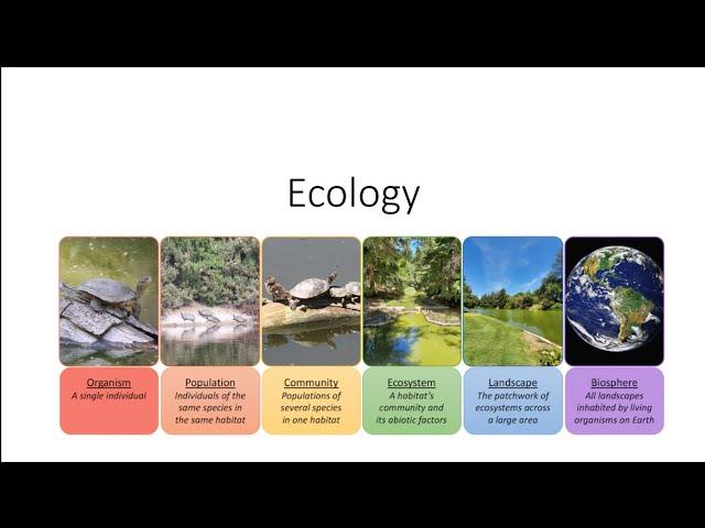 Understanding Population Ecology: Key Concepts and Implications