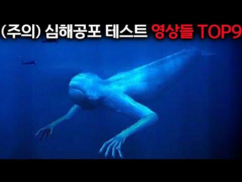 신비로운 심해 속 이야기: 끝까지 다 볼 수 있는사람?