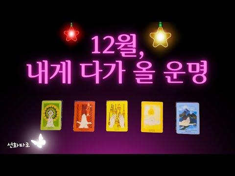 [타로|12월🔮] 12월, 내게 다가올 운명(12월 종합운)