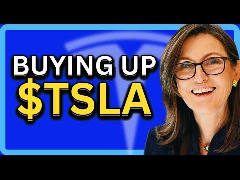 Investing in Tesla: Insights from Cathie Wood's $80 Million Bet