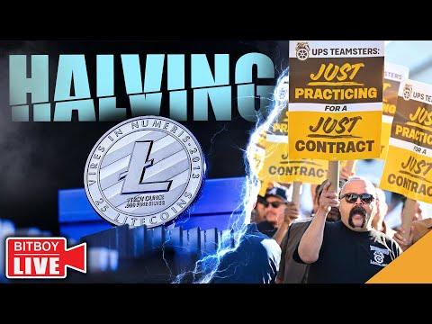 Crypto Market Update: Litecoin Halving, Teamsters Impact, and AI Developments