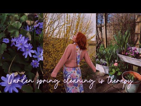 Discover the Therapeutic Journey of Spring Renewal