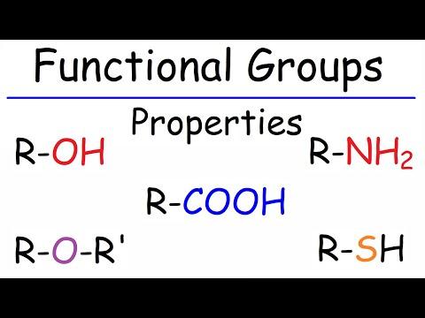 Understanding Organic Compounds: Alkanes, Alkenes, Alcohols, Ethers, and More