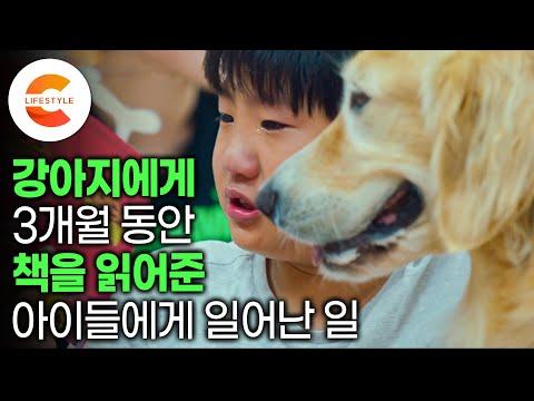 강아지와 함께하는 독서 프로젝트: 아이들의 독서 흥미와 자신감 상승