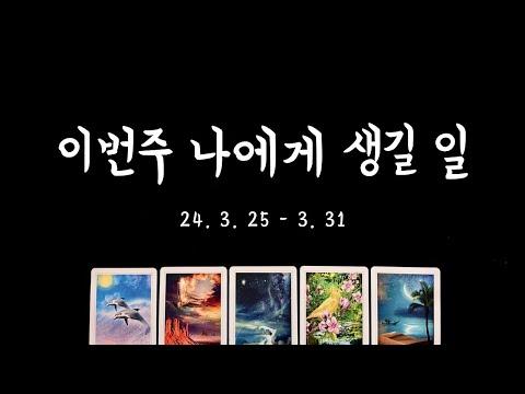 이번 주의 운세와 타로 카드 예측