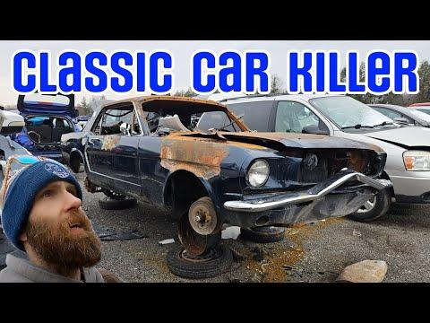 Discovering Hidden Treasures in a Junkyard: A Jeep Enthusiast's Adventure