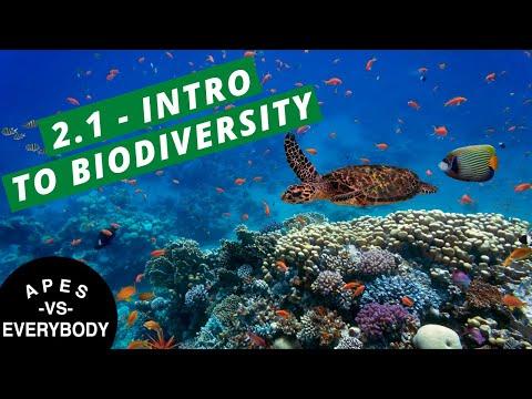 Understanding Biodiversity: The Key to Ecosystem Resilience