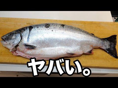 幻のサクラマス【板マス】がきまぐれクックの手に。