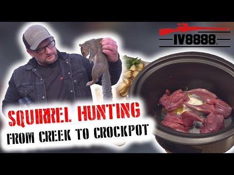 From Field to Table: A Complete Guide to Squirrel Hunting and Cooking