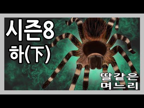 한국 드라마 '딸같은며느리' 시즌8 하(下) - 요약 및 FAQ