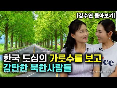 [강수연_몰아보기] 한국 도심의 가로수를 보고 감탄한 북한사람들