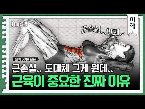 근육이 무너지면 우리 몸에 생기는 현상들을 알아보자!