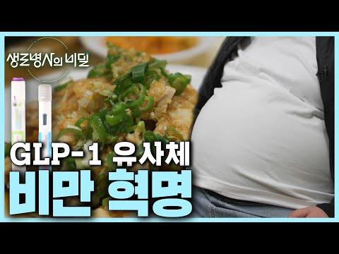 GLP-1 유사체 비만 치료제를 통한 다이어트 성공 비법