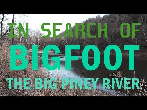 Exploring the Mysteries of Big Piney River in Missouri