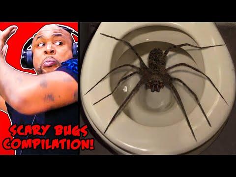 Hilarious Reactions to Scary Pranks: A Compilation