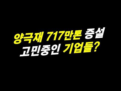 전기차 시장의 미래 전망과 양극재 증설에 대한 기업들의 고민