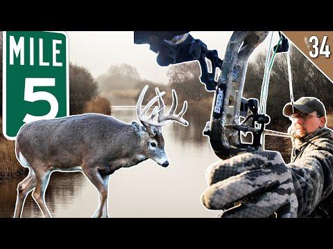 Mastering the Art of Deer Hunting: Tips and Tactics for a Successful Hunt