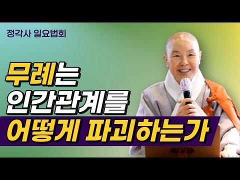 무례함에 대한 이해와 사과하는 법 | 인간관계를 위한 교훈적인 가이드