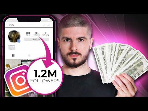 How to Grow and Monetize Your Theme Page on Instagram and TikTok