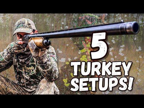 Mastering Turkey Hunting with the Perfect Shotgun Setup