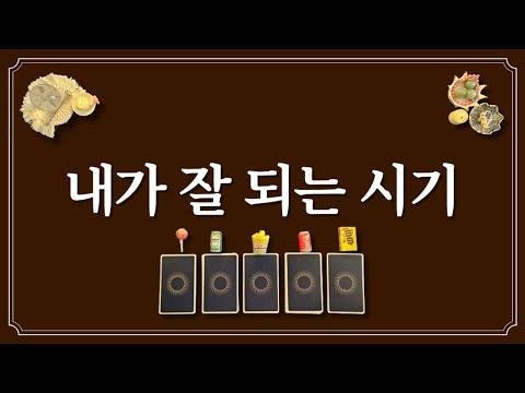 소울 힐러타로마스터 정의: 희망과 성공을 향한 여정