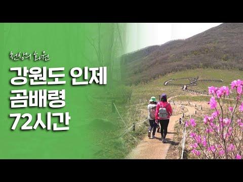 강원도 인제 곰배령 여행 다큐 - 자연 속 힐링을 경험하다