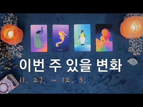 [타로/주간운세] 11월 마지막 주 종합운(11. 27. ~ 12. 3.)