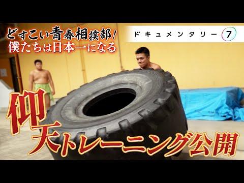 大阪の名門相撲部、全国一を目指す！驚きのトレーニングと成長物語