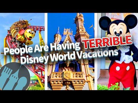 Ultimate Guide to a Magical Disney World Vacation