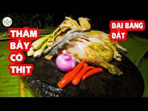 Exploring the Delights of Wild Chicken Meat in Suối Bản