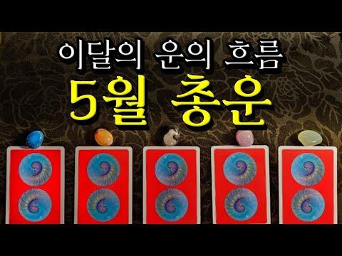 5월 타로 운세: 성장과 긍정적 변화를 예상하다