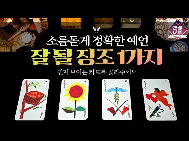 당신의 미래를 밝히는 타로 카드 예언! 소름 끼치는 정확성에 놀라지 마세요! 🔮