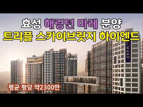 효성하이엔드 브랜드 분양 - 해링턴마레 효성하이엔드 브랜드 분양 부산 엑스포 후광단지