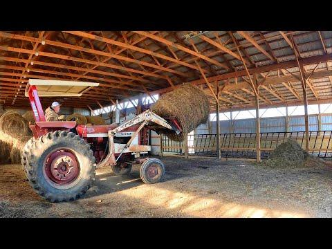 Winter Barn Preparation: Hot Fence, Sheltered Cows, and Feed Delivery