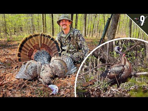 Mastering Turkey Hunting: A Guide to Success in the Wild
