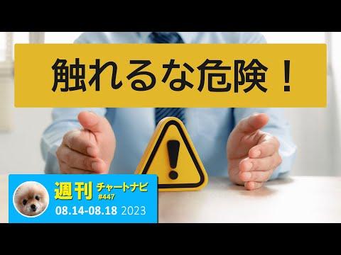 FX初心者のための注目ポイントと注意点