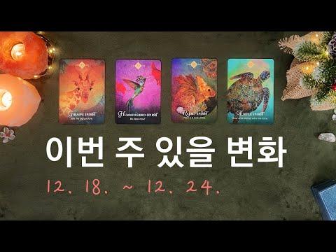 [타로/주간운세] 12월 셋째 주 종합운(12. 18. ~ 12. 24.)