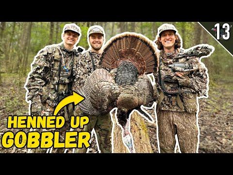 Mastering Turkey Hunting: A Day of Strategy and Success