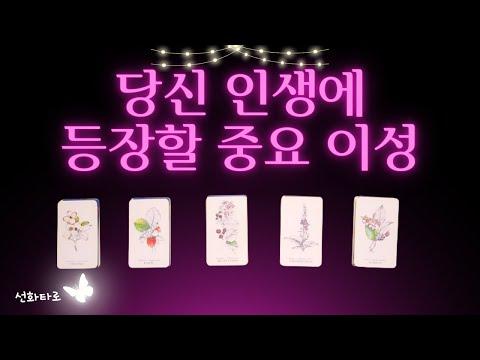 [타로|연애💘] 당신 삶에 등장할 중요 이성 - 신선한 연애 타로 카드 해석