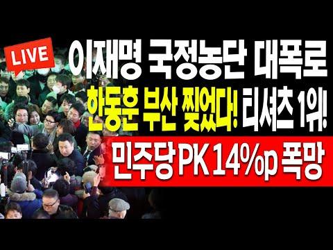 (일일뉴스) 한동훈 부산 찢었다! 티셔츠 1위! 민주당 PK 14%p 폭망! / 2024.01.11