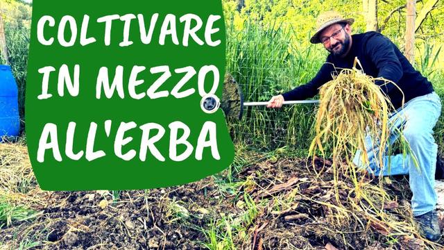 Optimizzare la coltivazione dell'orto con tecniche naturali