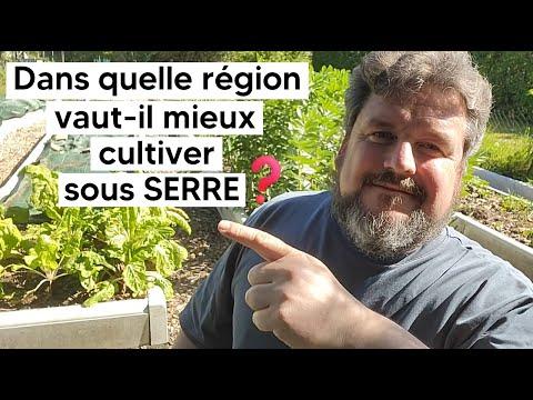 Cultiver sous serre ou en plein air : quelles sont les meilleures régions ?