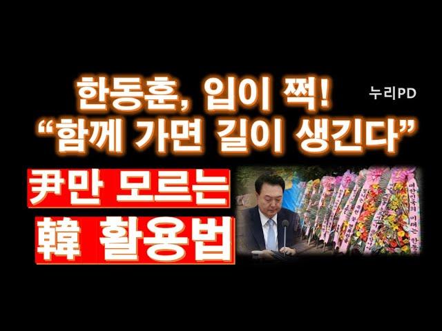 한동훈의 대세와 국민의 힘 상황 분석