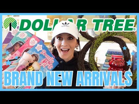 Discovering Exciting New Dollar Tree Items: A Haul of the Week