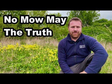 Unleashing the Power of No Mow May: A Guide to Wildlife-Friendly Gardening