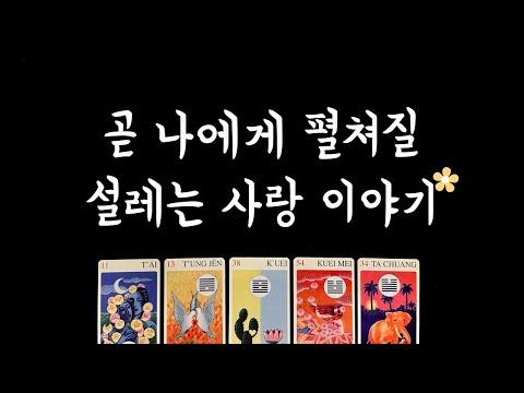 [타로] 솔로연애운❤️ 3개월 나의 연애 흐름