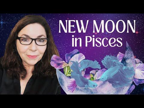 Navigating Pisces Energy: Finding Clarity in Chaos