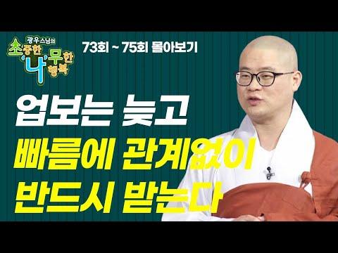 광우스님 소나무 3편 몰아보기: 업보는 늦고 빠름에 관계없이 반드시 받는다