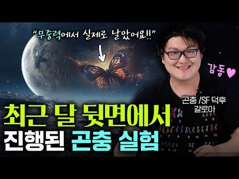 우주에 간 곤충의 신비한 세계